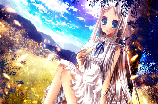 一棵秋葵产量多少斤