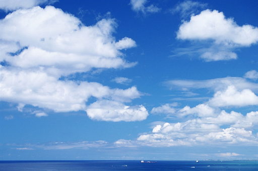 上海交大开设爬树课,深度挖掘背后的教育理念与实践探索