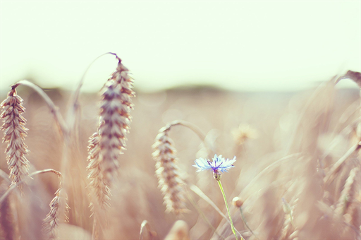 中俄两军举行第3次反导联合演习，深化合作，共筑安全屏障