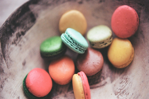 中国兽协回应动物血库抽取猫血事件,关注背后的真相与动物权益保障