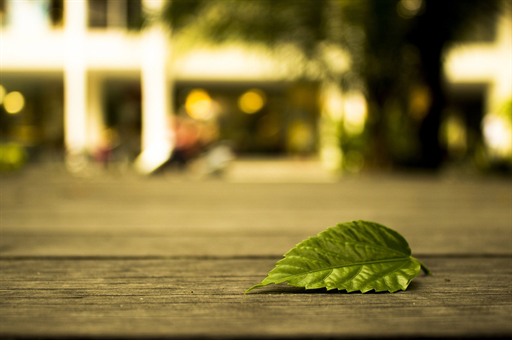 中山大学学生自研卫星成功发射，创新与教育的辉煌结合