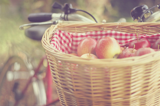 五岁小孩有自残现象怎么办