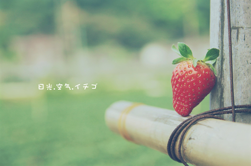 从三个维度读懂大国担当