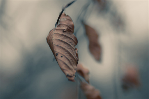 全运会110米栏金牌背后的故事，徐卓一的奋斗与突破