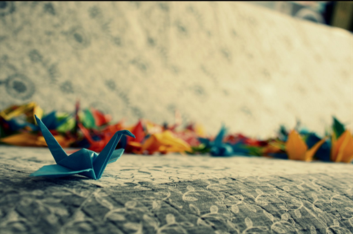 千条直播弹幕七成假，谁在幕后操纵注水现象？