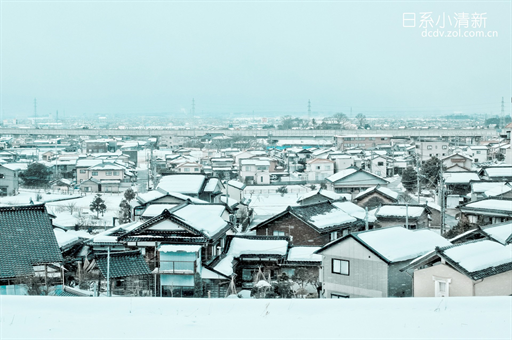 卖家采用巨型吊牌应对白嫖式退货现象，深度探讨背后的经济与社会影响