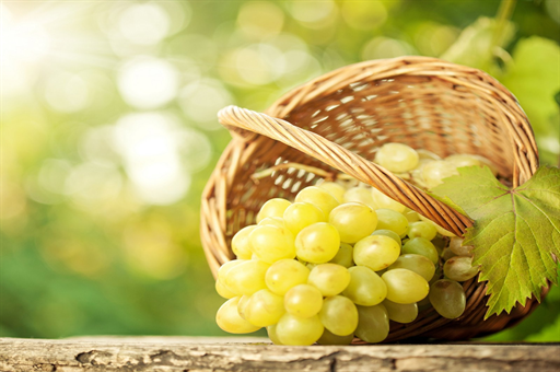 南海舰队版，若战斗今夜打响