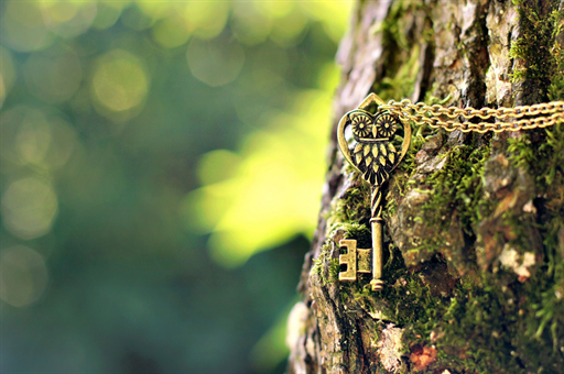 印度民众聚集在普京照片周围，手持盘子绕圈—一场独特的文化交融与民众情绪的体现