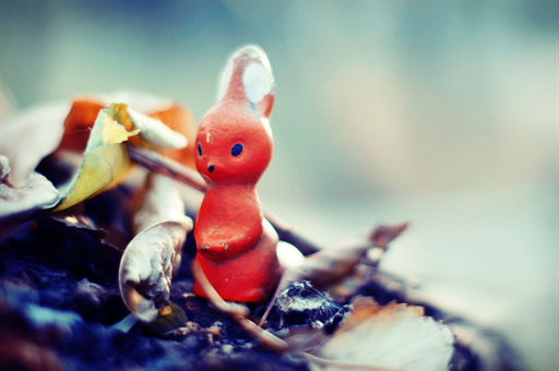 去甲醛最好最快的方法