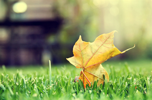 吉林发现大型金矿，深度解析其背后意义与影响