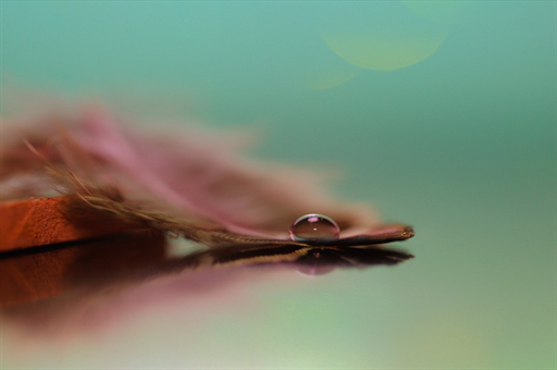 嘴巴不小心给磕破了需要缝合吗