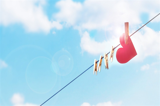 女子自驾进猛兽区遭遇老虎袭击，车漆被咬掉—事件深度解析