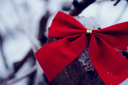 女子路边摊买麻花，切完惊现天价账单