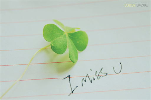 孕期吃羊肉要注意什么呢