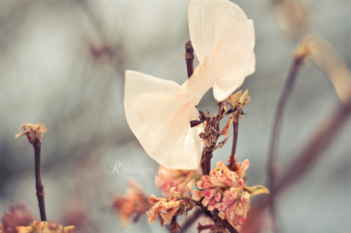 孩子肠胃感冒吃什么食物好得快一点