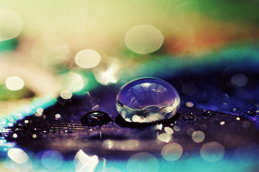 宋朝华被开除党籍事件，对抗组织审查的严重后果