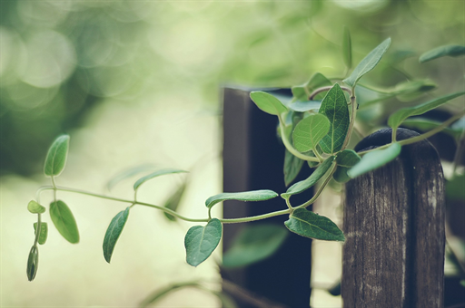 宿舍楼下设吸烟点学生吐槽，高校回应背后的考量与挑战