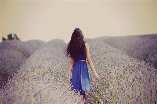 小米汽车深夜怒怼绿化带战神,一场关于未来出行的争议风暴