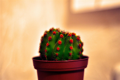 年轻人抢购倒闭车企烂尾车现象深度解析