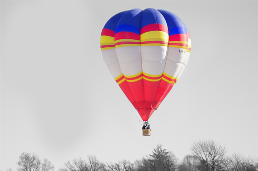 广州动物血库灰色产业深度揭秘