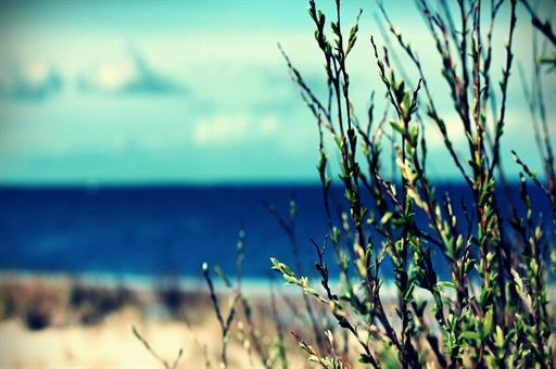 明年起购置税减半政策实施，17家车企承诺兜底，行业变革下的机遇与挑战