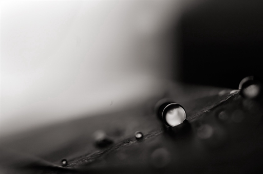 暴走团现身香港，音乐狂欢引发社区关注与反思