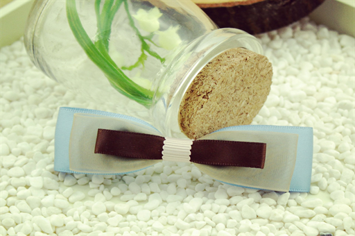 杨柳树叶的作用与功能