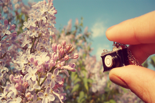 樊振东被记大功，背后的故事与意义深度解析