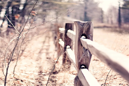 王楚钦迎全运会开门红，以4-1战胜魏世皓，深度解析背后的故事