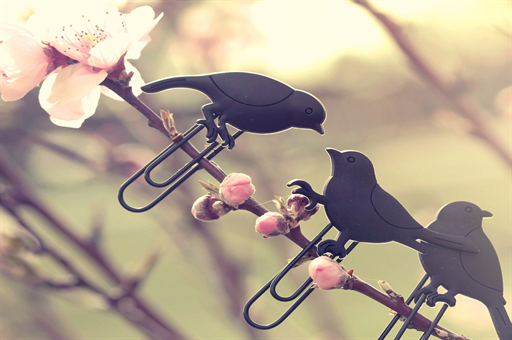 美国警察枪杀宠物狗事件引发争议，政府赔偿高额费用揭示深层次问题