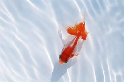 舌尖麻木是怎么回事