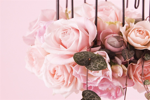 荔枝不能和什么一起吃会过敏