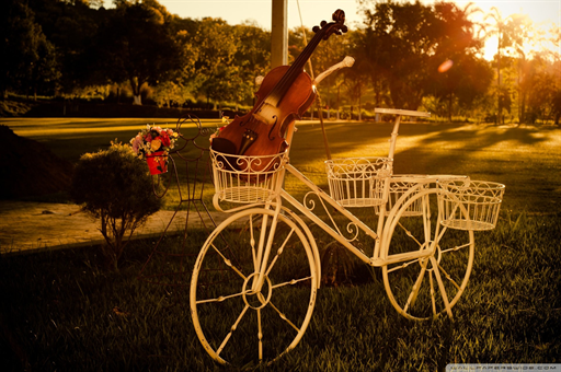 蔡磊，用眼控仪解答三大难题，展现深度思考与智慧之光