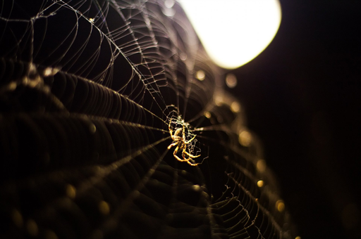 血友病不该吃的食物