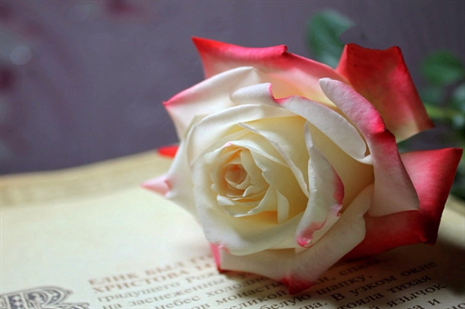 装修工人触电身亡，婚房变凶宅，深度探究事件背后的真相与启示