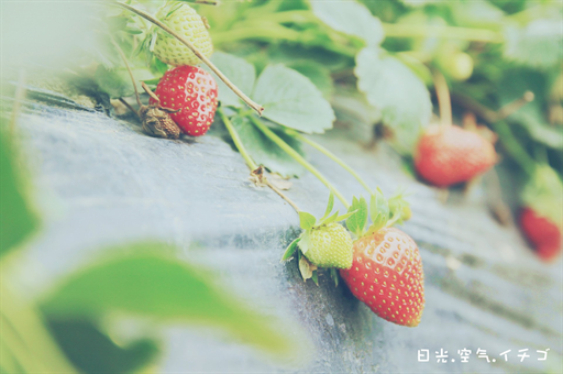 语言障碍如何康复训练