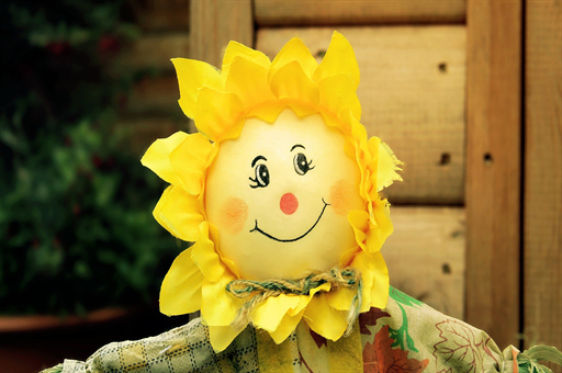 车主选中尾号6646号牌被告知作废，背后的故事与解读