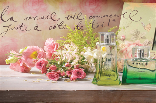 郑丽文上任首个工作日公布人事安排，深度解读与多维度观察