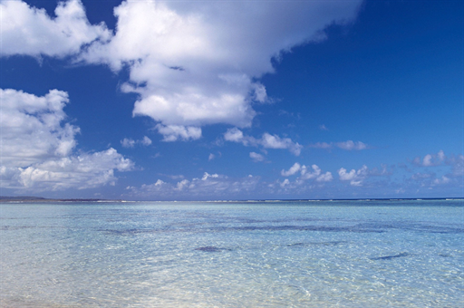 马年纪念币纪念钞发行盛况，深度解读其背后意义与收藏价值