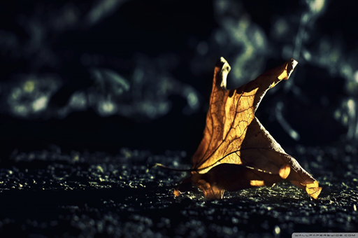 驼峰鼻矫正手术怎么操作