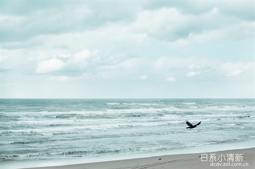 鱼鳞皮肤病治疗及症状