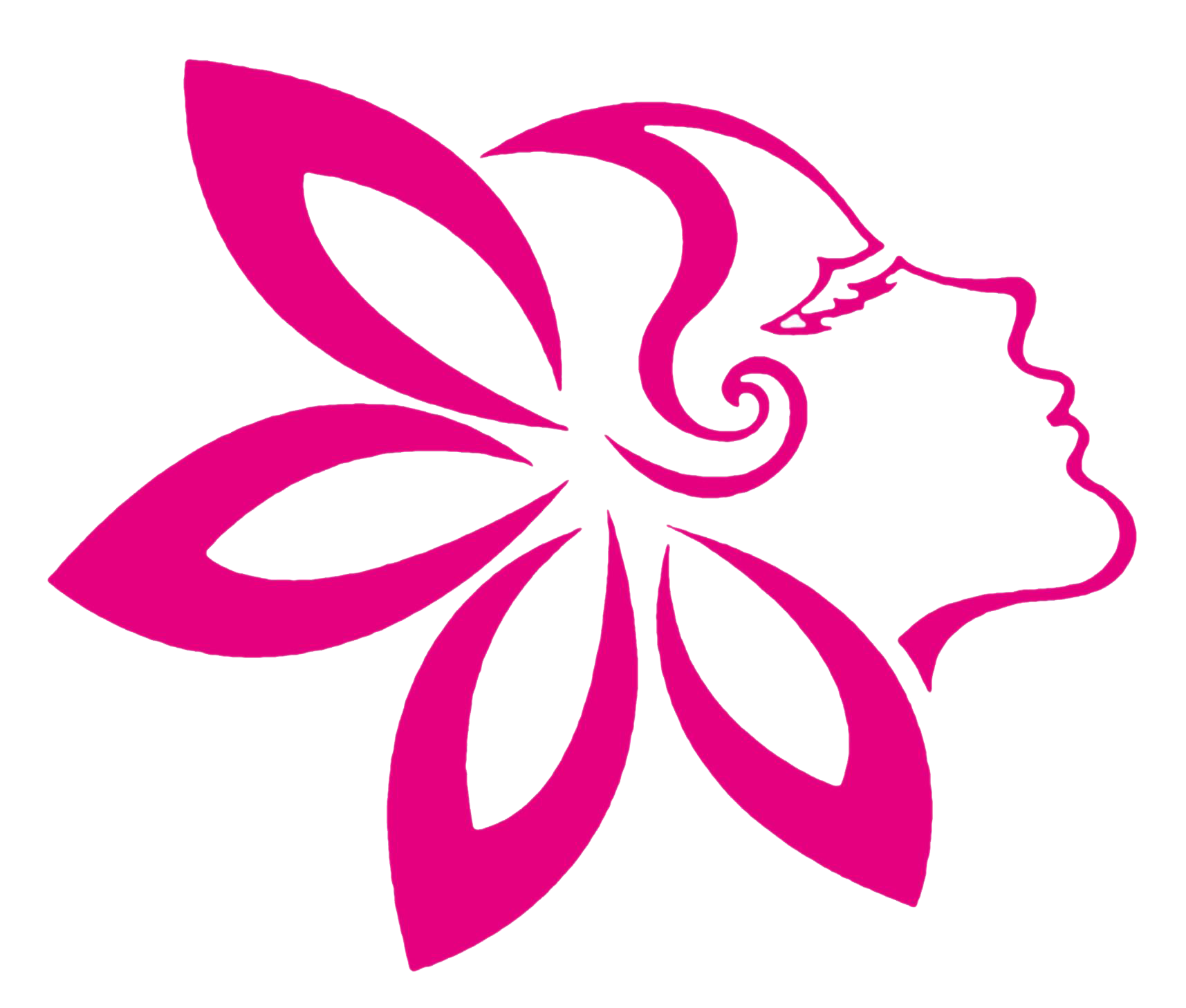 失去美国订单后海外订单量增长之谜，深度解析背后的原因与影响